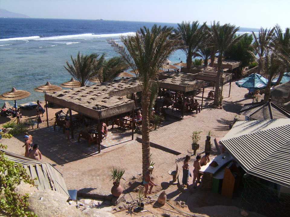 Hotel Hotel Hauza Beach Resort