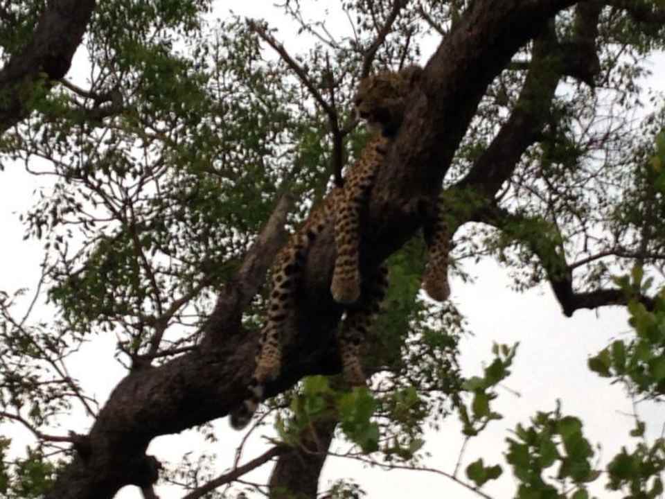 Safari Hotel Arathusa Safari Lodge