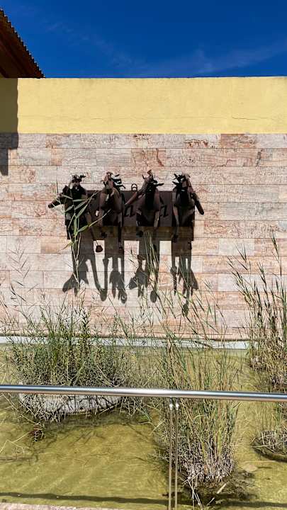 Gartenanlage Zafiro Mallorca