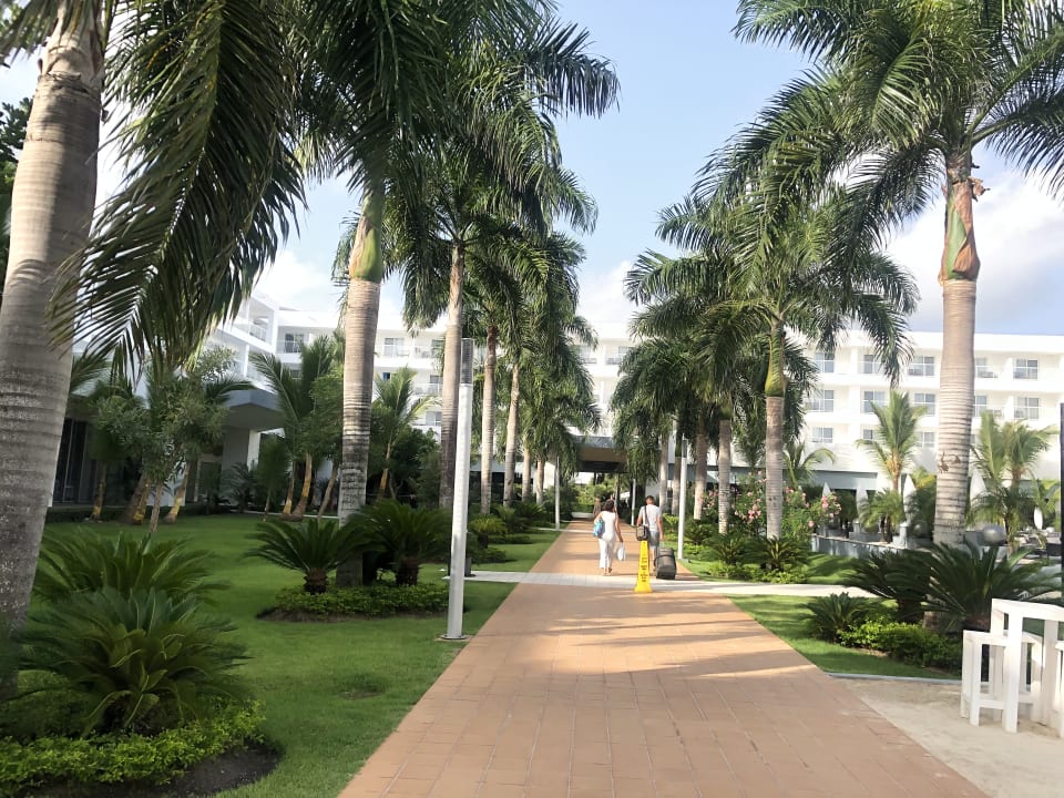 Gartenanlage Hotel Riu Republica - Adults only