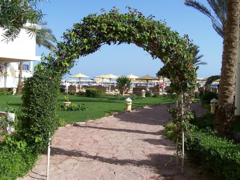 Zahrada SUNRISE Holidays Resort (Adults Only)