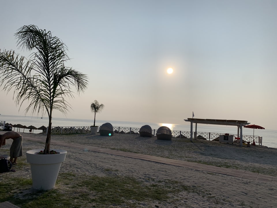 Außenansicht VOI Le Muse Essentia