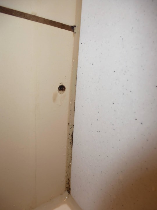 Schimmelige Stellen in der Duschkabine Hotel Traube am See