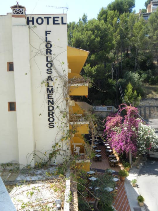 Hoteleingang FLOR los Almendros Hotel