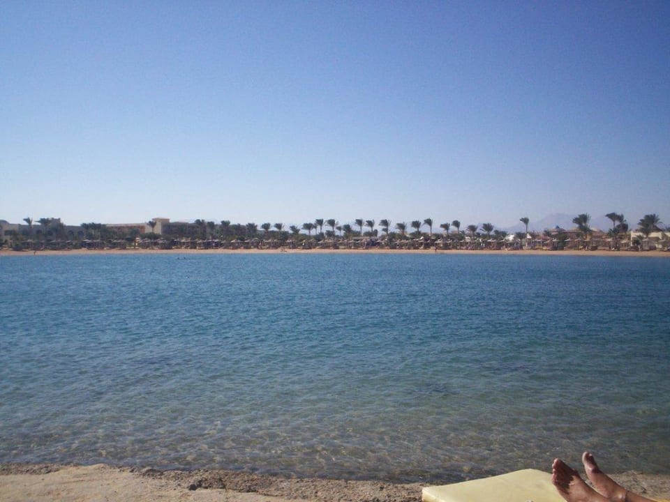 Innerer Strand Desert Rose