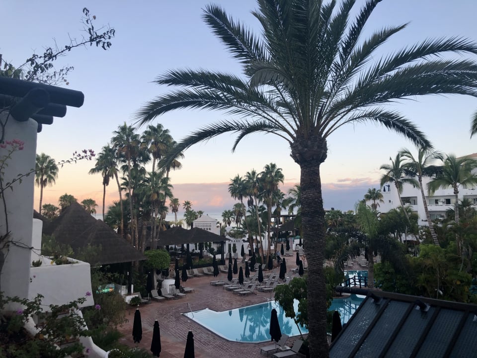 Ausblick Dreams Jardín Tropical