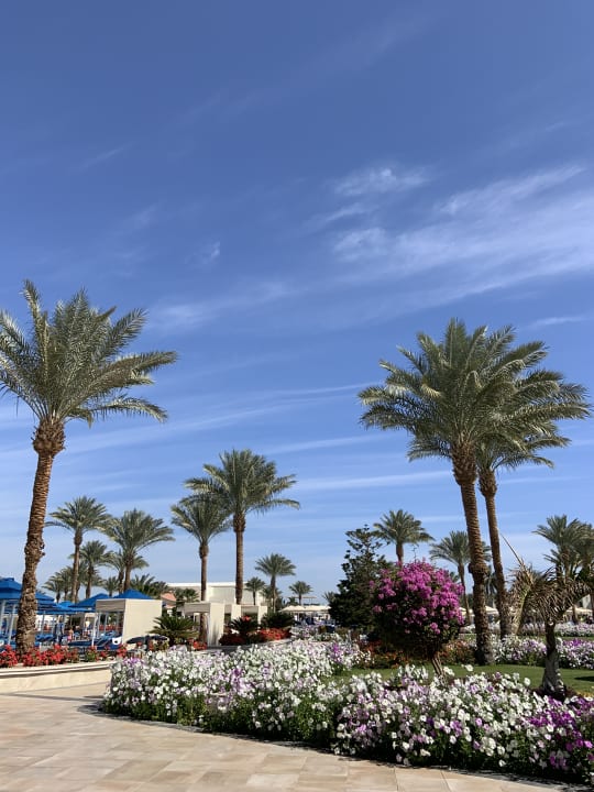 Gartenanlage Pickalbatros Dana Beach Resort - Hurghada