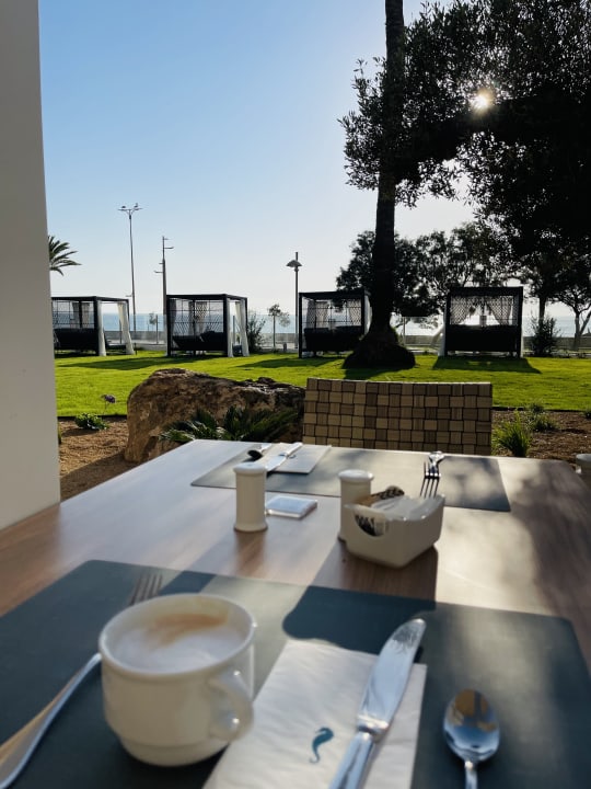 Gartenanlage Hipotels Flamenco