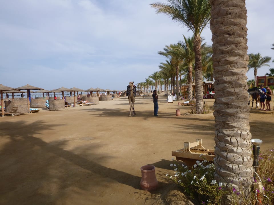 Strand Casa Mare Resort