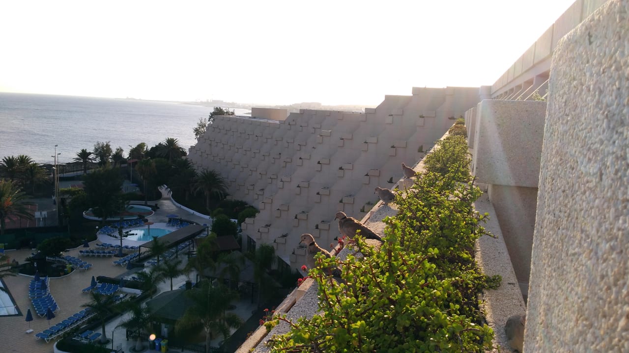 Ausblick Hotel Grand Teguise Playa