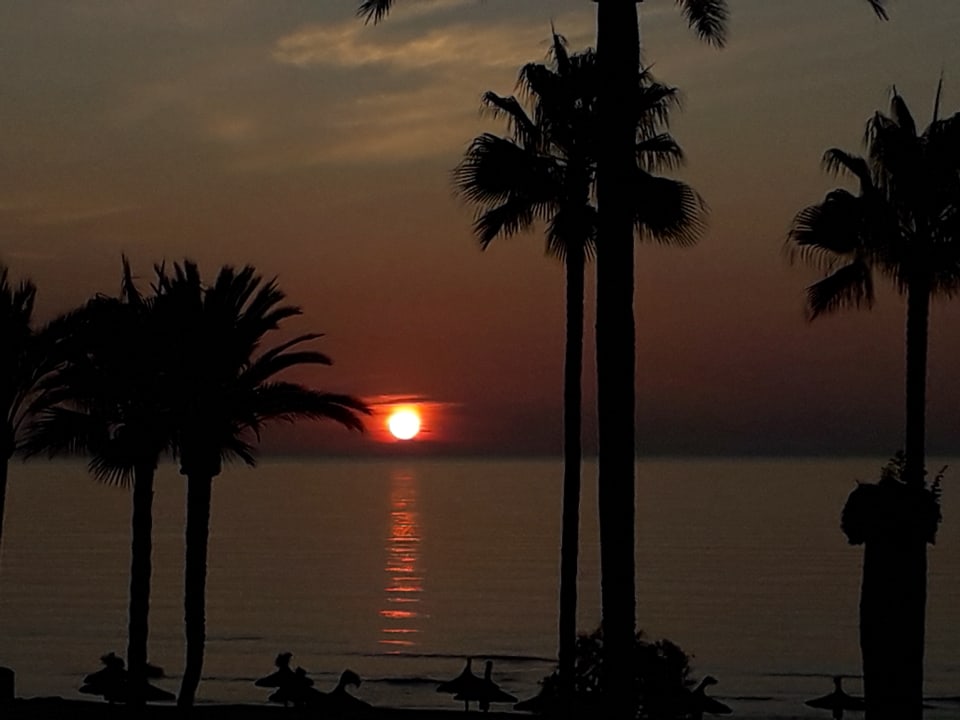 Zimmer CM Playa del Moro