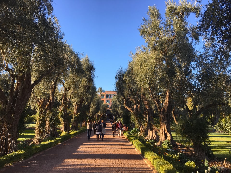 Gartenanlage Hotel La Mamounia