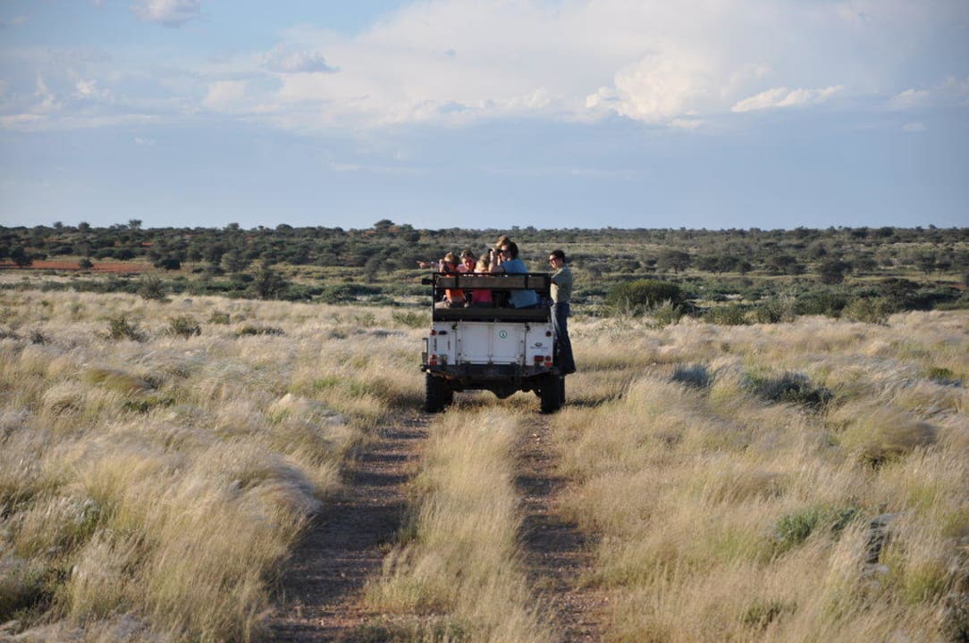 Sundownersafari Kalahari Anib Lodge