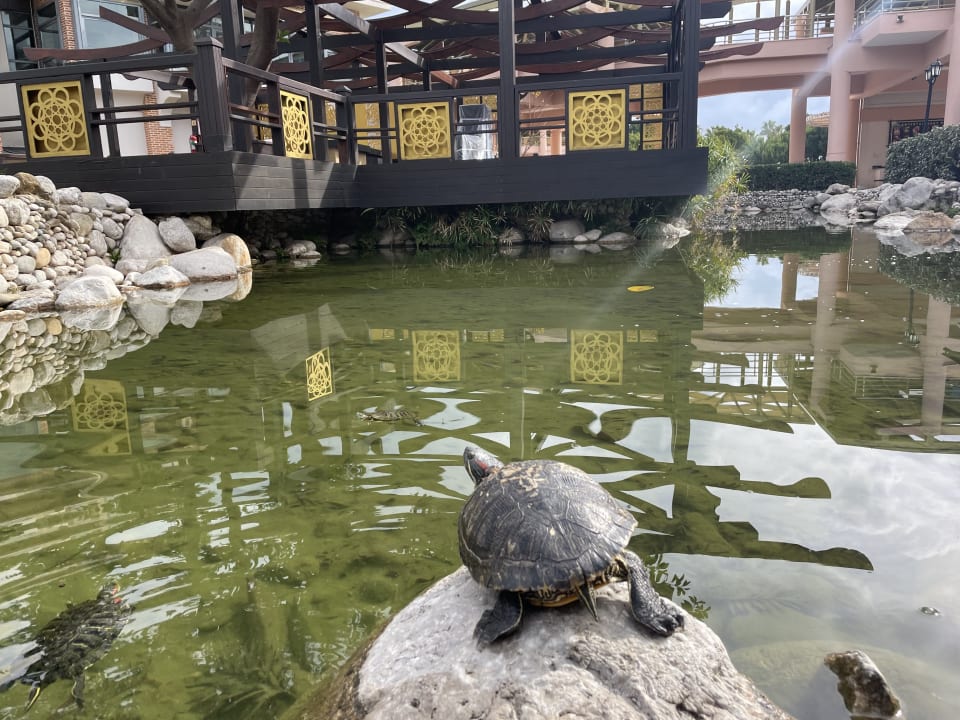 Gartenanlage Limak Limra Hotel & Resort