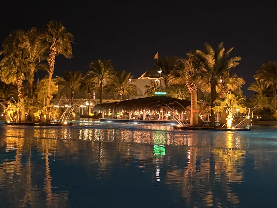 Gartenanlage Desert Rose