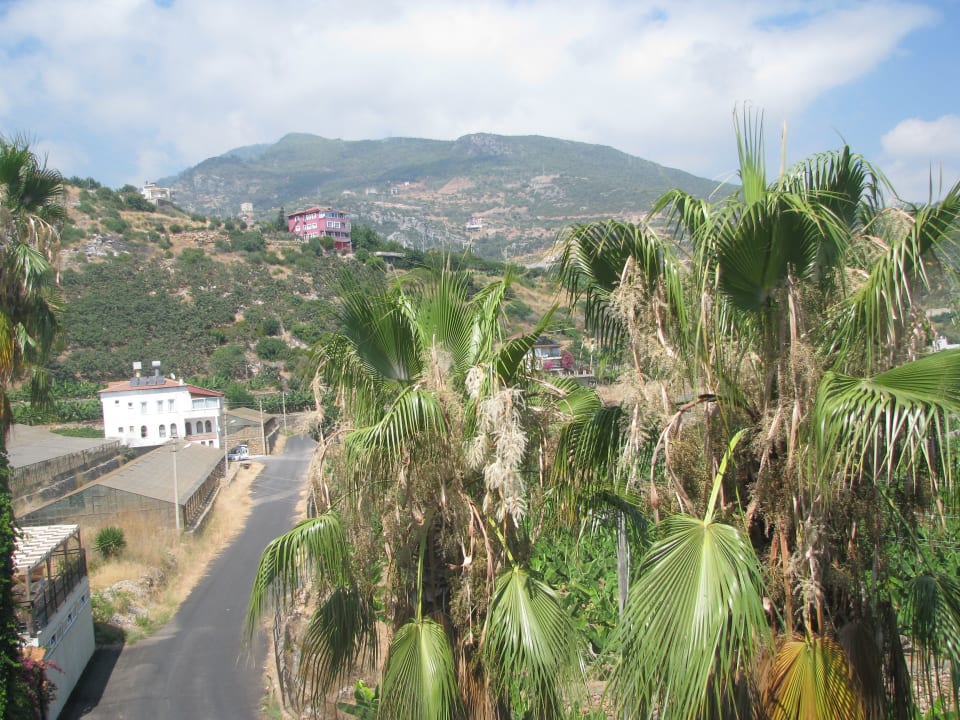 Ausblick La Finca Marina