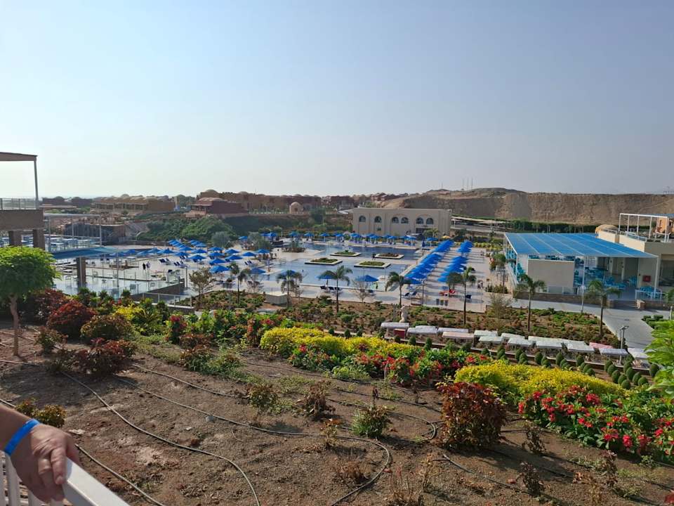 Pool Pickalbatros Vita Resort - Portofino Marsa Alam