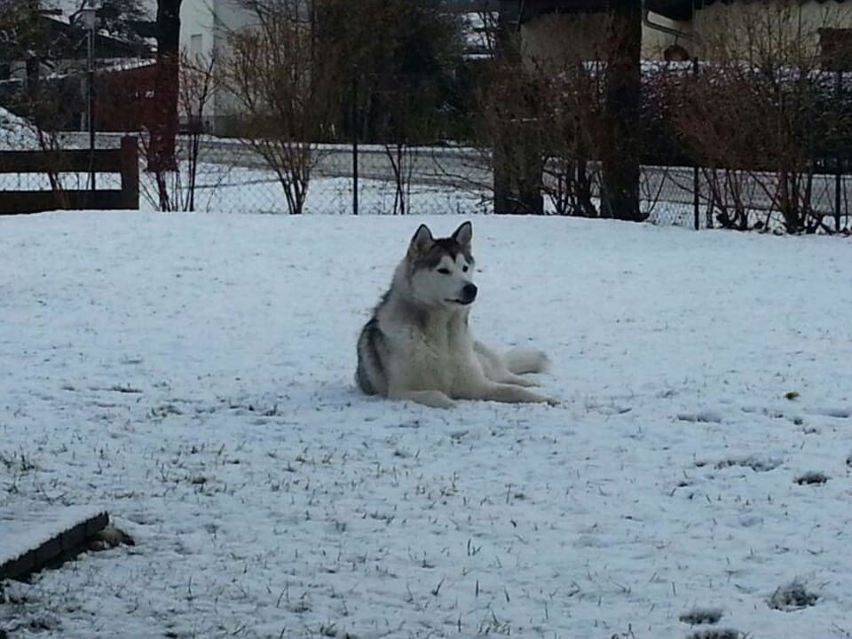 Ferienhaus Felicitas Ferienhaus Felicitas