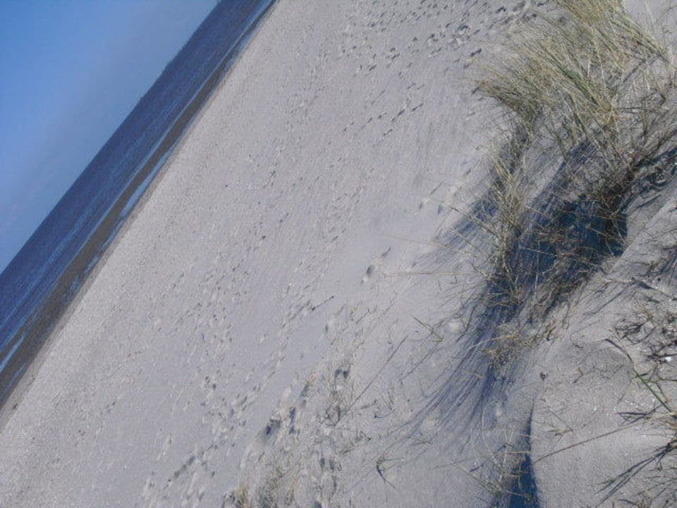 Dünen Upstalsboom Hotel am Strand
