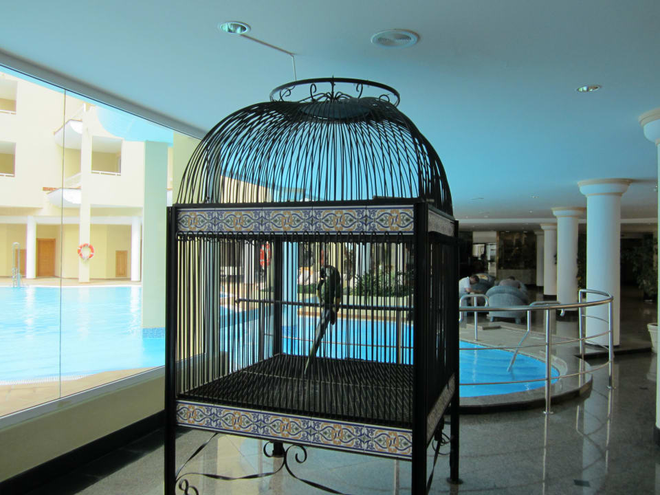 Papageienfigur in der Lobby Hotel Riu Palace Jandia