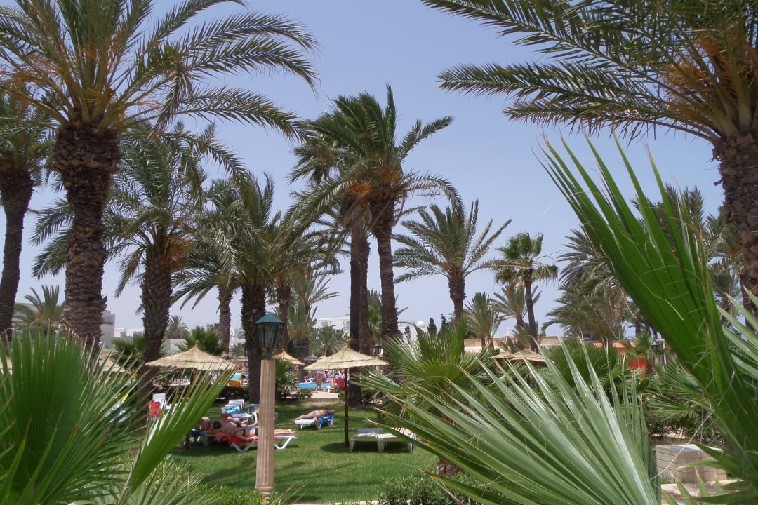 Ogród hotelowy Houda Golf & Beach Club