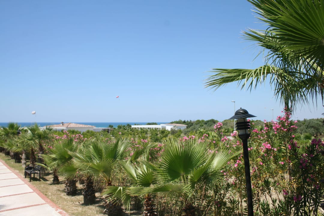 Zum Strand Alba Resort Hotel