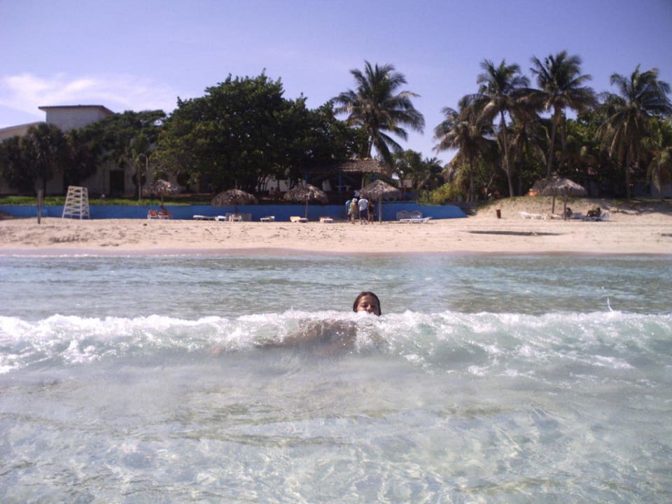 Strand von Kuba Starfish Cuatro Palmas