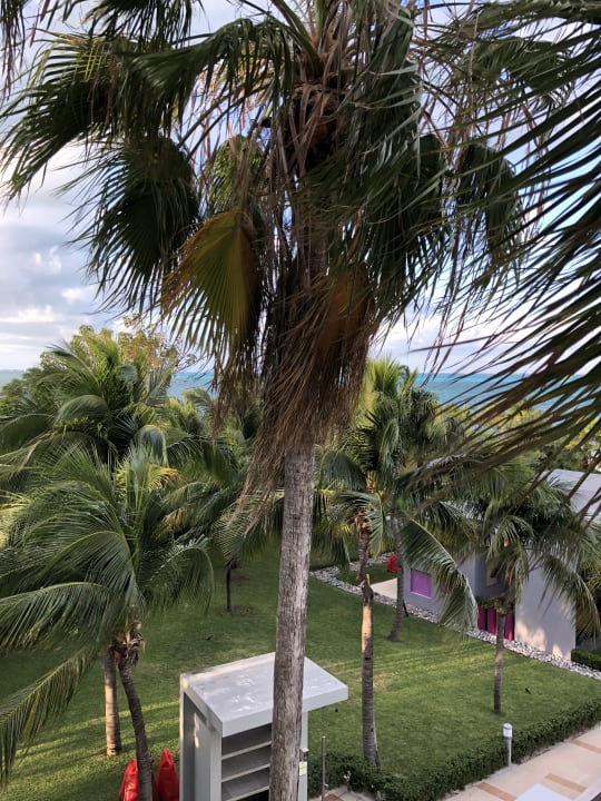 Ausblick Hotel Riu Palace Peninsula