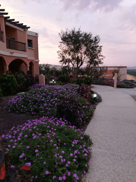 Gartenanlage Bakour Fuerteventura La Pared