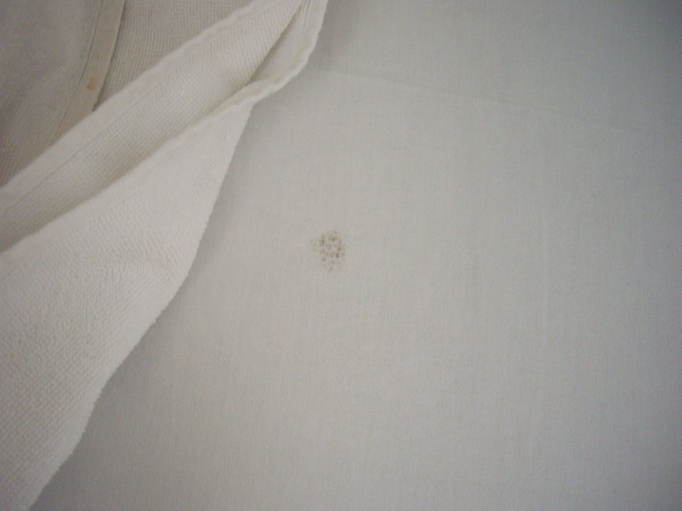 Bett Hotel Kleopatra Alis