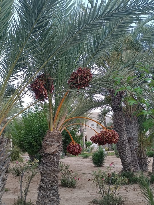 Sonstiges Zita Beach Resort