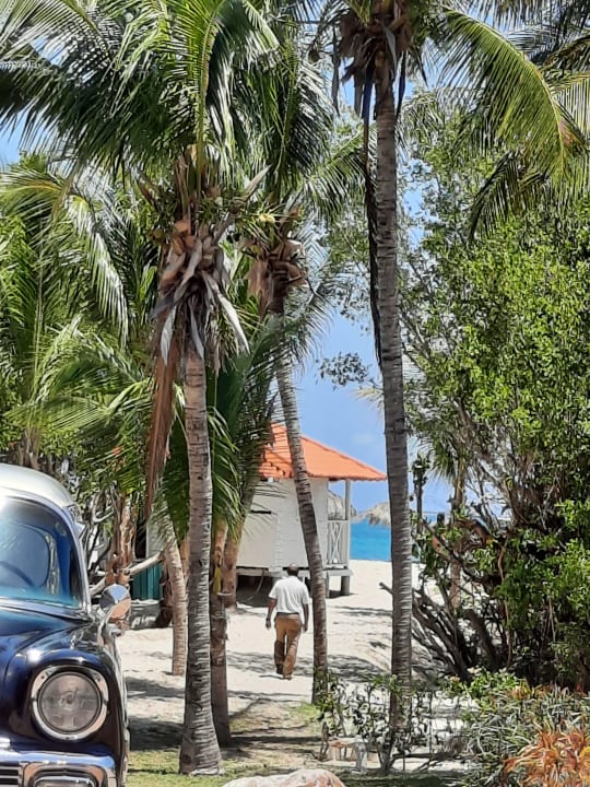 Sonstiges Paradisus Princesa del Mar Resort & Spa - Adults only