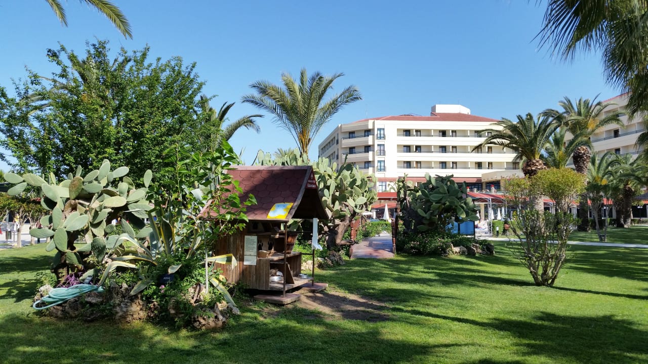 Gartenanlage  Hotel Miramare Beach