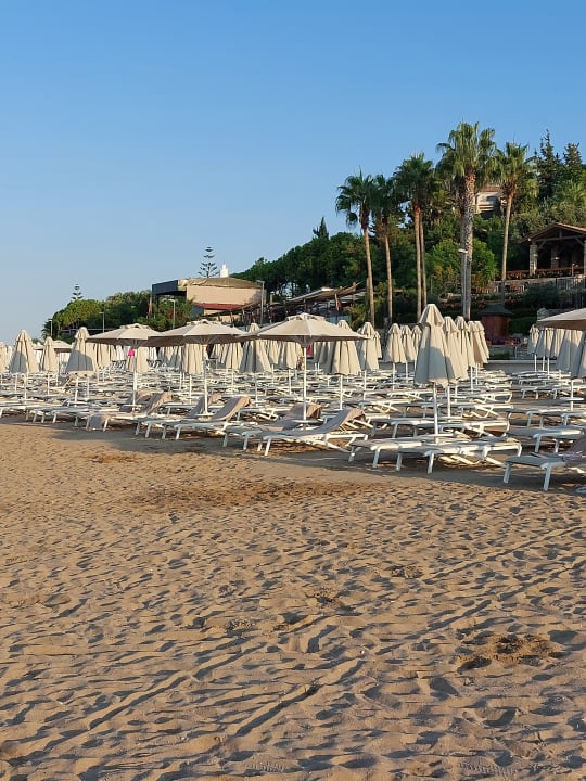 Strand Arum Barut Collection