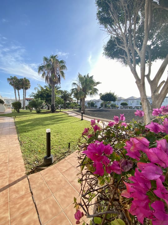 Gartenanlage H10 Ocean Suites