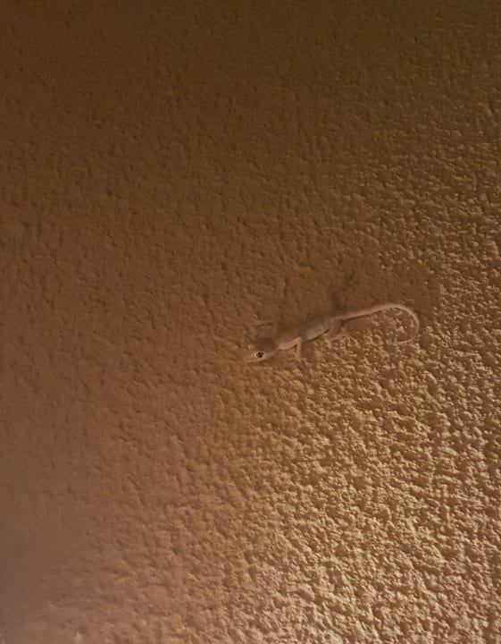 Sonstiges Akassia Swiss Resort