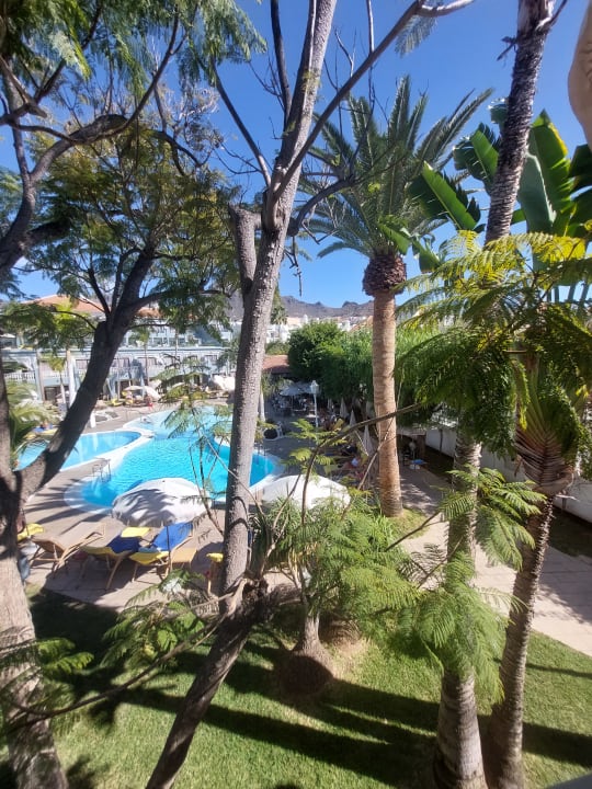 Ausblick Adrián Hoteles Colón Guanahaní - Adults only