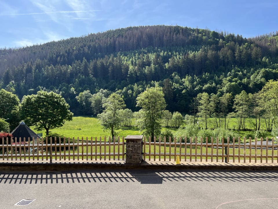 Ausblick Fewo Zum Sonnenschein