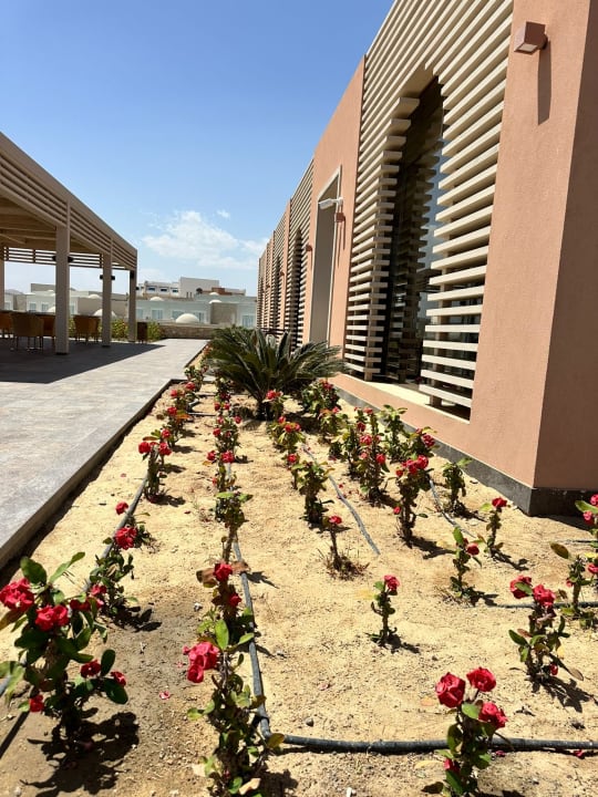 Außenansicht Sentido Reef Oasis Suakin