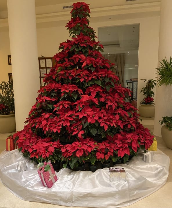 Lobby Cleopatra Luxury Resort Makadi Bay