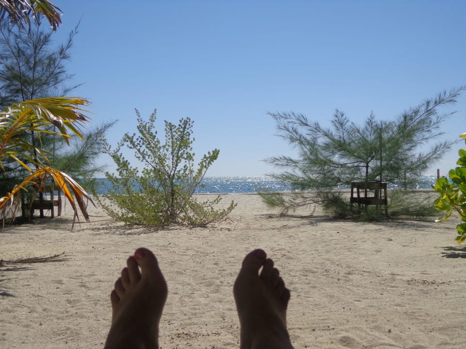 Ausblick von den Liegen Summer Island Maldives