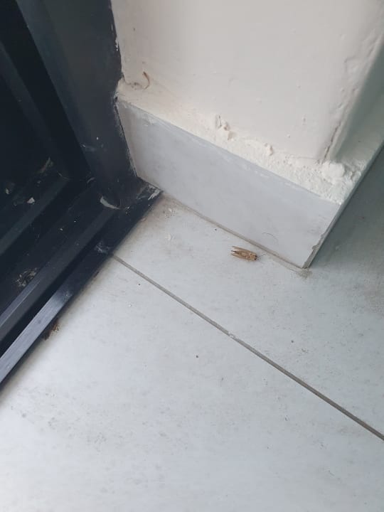 Zimmer Riviera Spa Resort - Adults Only