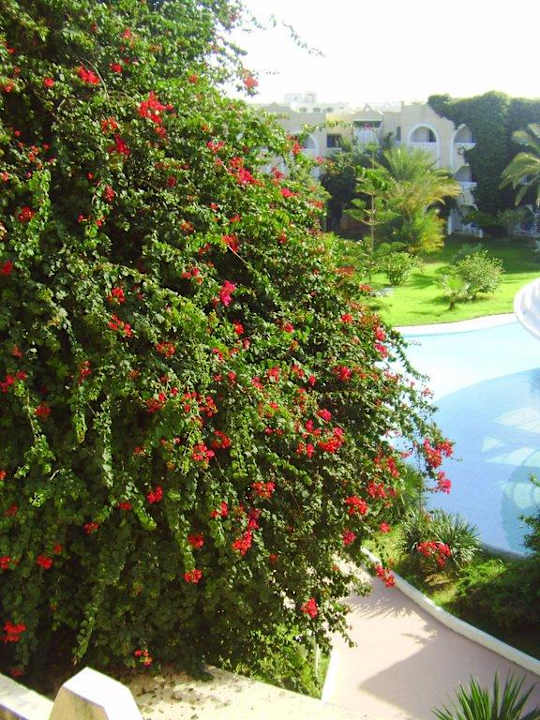 Ein Blick aus einem Seitenfenster Mahdia Beach & Aquapark