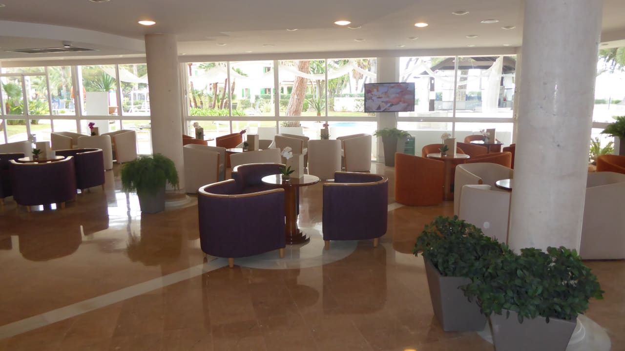 Barbereich allsun App.-Hotel Orquidea Playa
