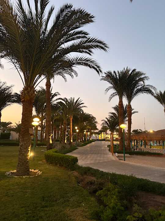 Gartenanlage Menaville Safaga