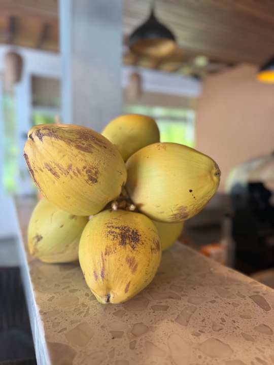 Sonstiges Fiyavalhu Resort Maldives