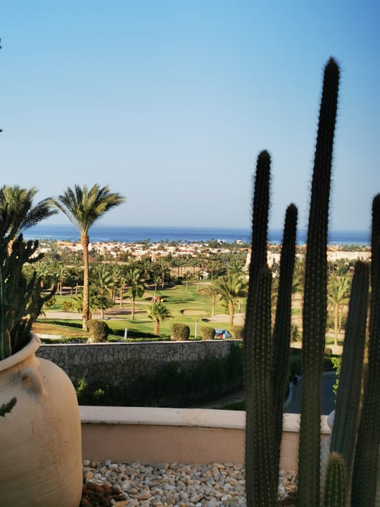 Ausblick Steigenberger Makadi Hotel - Adults only