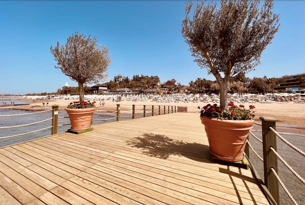 Strand Arum Barut Collection