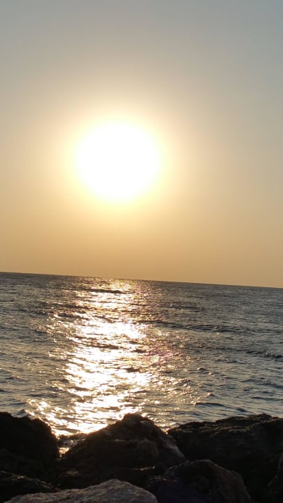 Sonnenaufgang Pickalbatros Citadel Resort