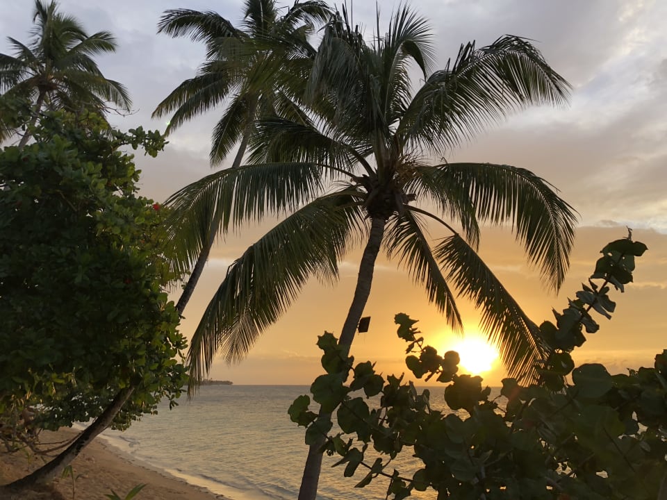 Strand Bahia Principe Grand El Portillo
